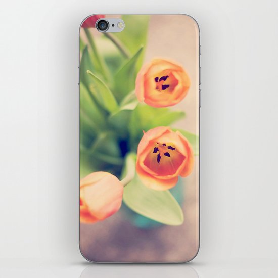 orange iPhone & iPod Skin