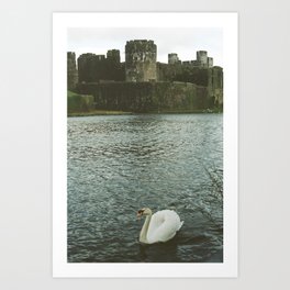 Castle & Swan in Wales  Art Print