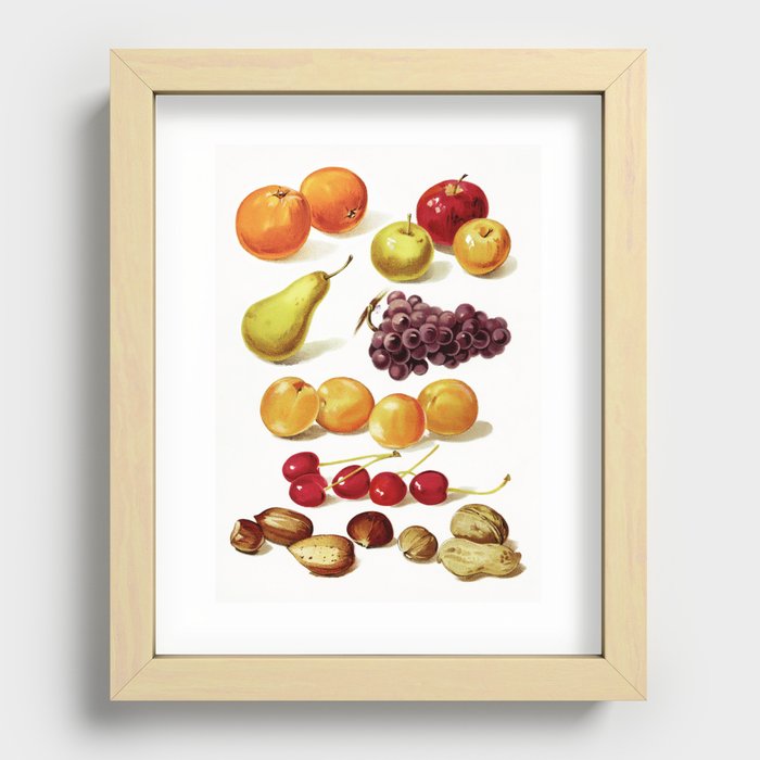 Vintage Fruit and Nut Artwork from Our Little Book for Little Folks Recessed Framed Print