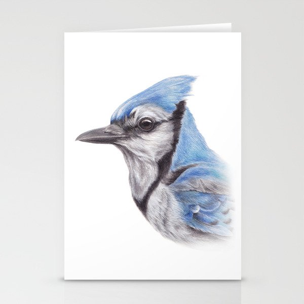 Blue Jay Cyanocitta Cistata Watercolour Painting Animal