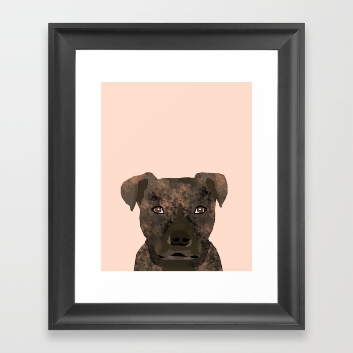 Brindle sales coat pitbull