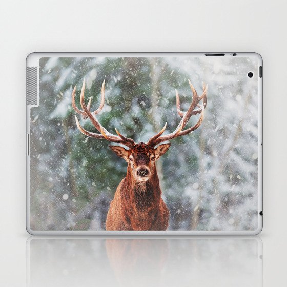Winter Reindeer x Rustic Laptop & iPad Skin
