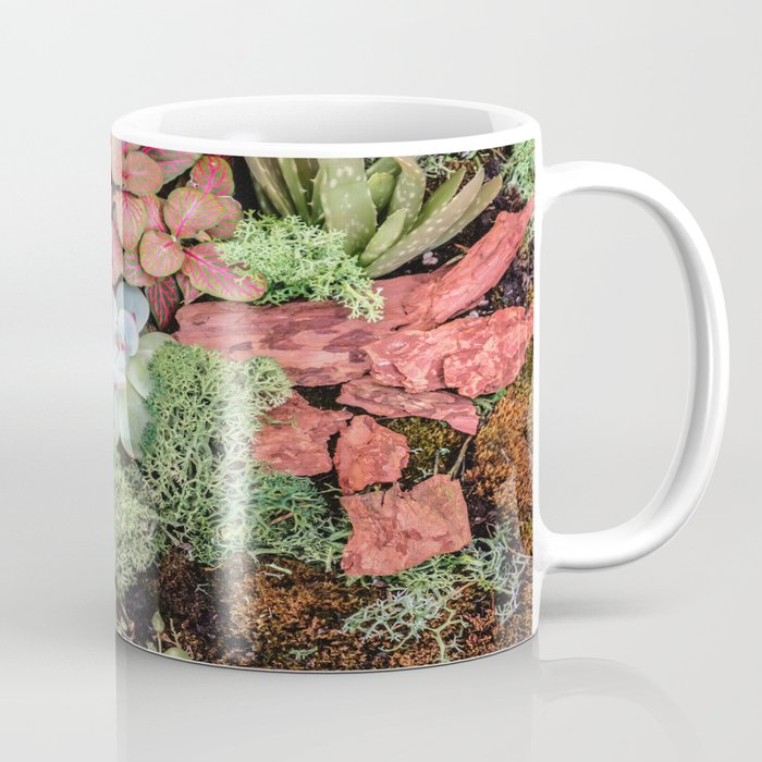 Succulents, Moss, Cactus Coffee Mug