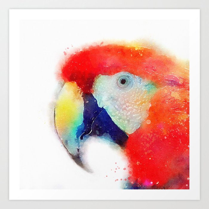 The Articulate - Parrot Art Print
