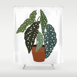 Cutest Polcadot Plant Begonia Maculata Shower Curtain