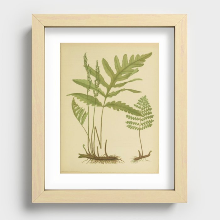 Recessed Framed Print