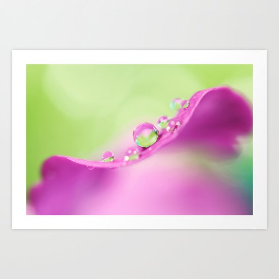 Honesty Droplets Art Print