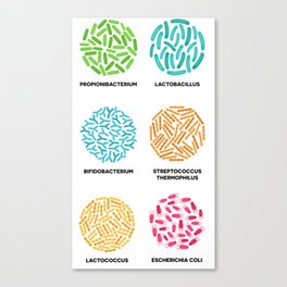 Bacterial Colonies Collection For Biologist, Microbiology and Science Canvas Print