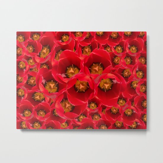Venetian Red Tulips Metal Print