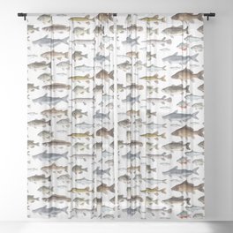 A Few Freshwater Fish Sheer Curtain