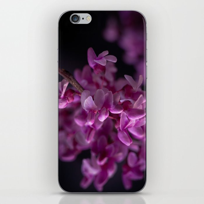 Red Bud Blossoms  iPhone Skin