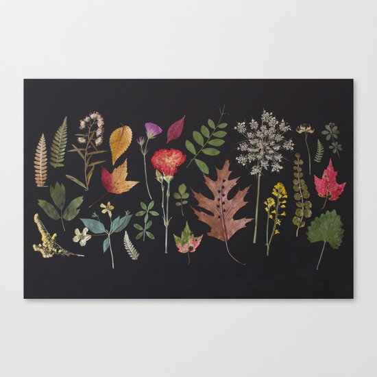 Plants + Leaves 4 Canvas Print