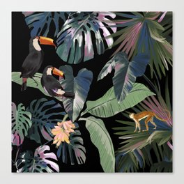 Night of the Toucans Canvas Print