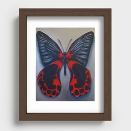 Scarlet Mormon Butterfly Recessed Framed Print