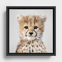 Baby Cheetah - Colorful Framed Canvas