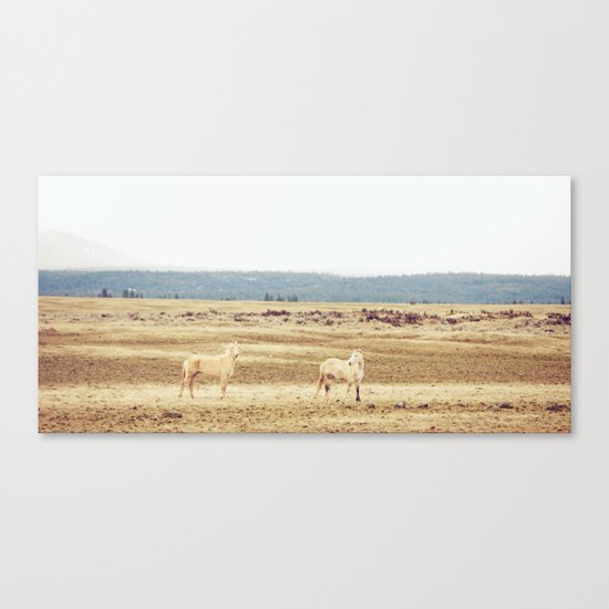 Two Oregon Horses Canvas Print