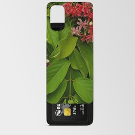 Pink summer Rangoon creeper flowers. Combretum Indicum plant. Android Card Case