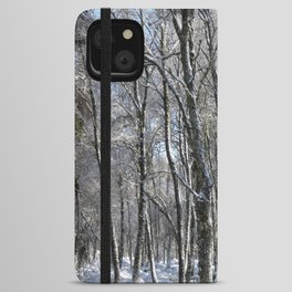 Snow Laden Birch Trees  iPhone Wallet Case