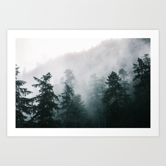 Forest Fog IX Art Print