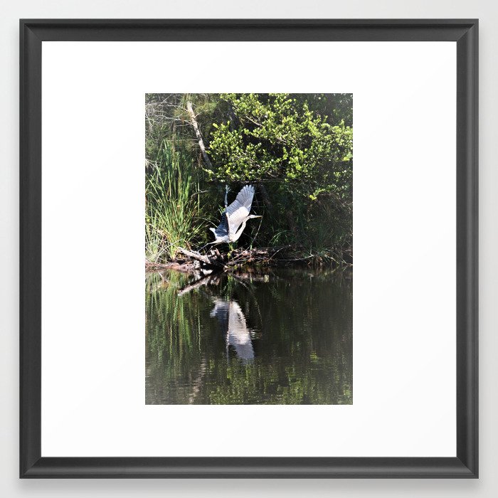 Bird in the mangrove in Cuba - Laguna del Tesoro - Hotel Guama - living nature - living in wonder - beautiful world - reflection Framed Art Print