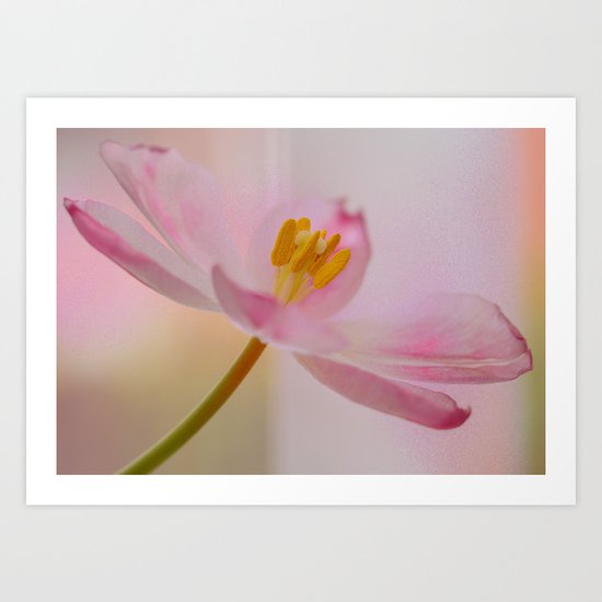 Dreamy Pink Art Print