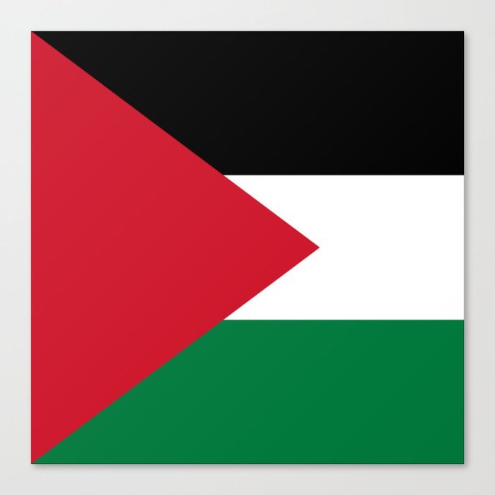 Flag of Palestine Canvas Print