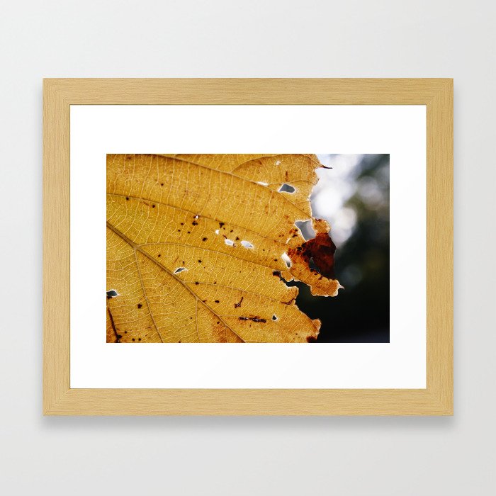 Autumn Vibes Framed Art Print