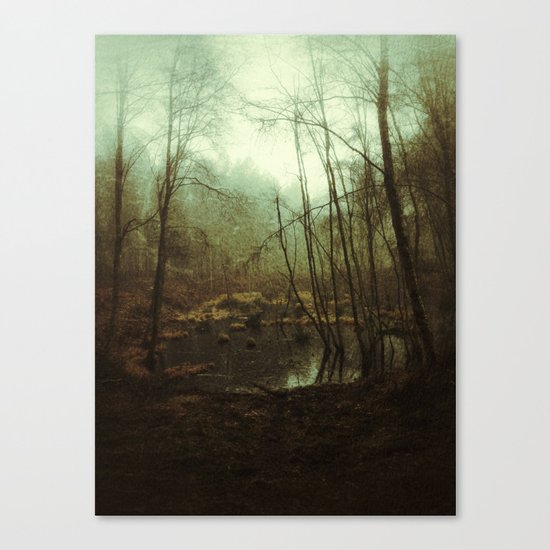 SWAMPY FOREST (everyday 01.01.17) Canvas Print