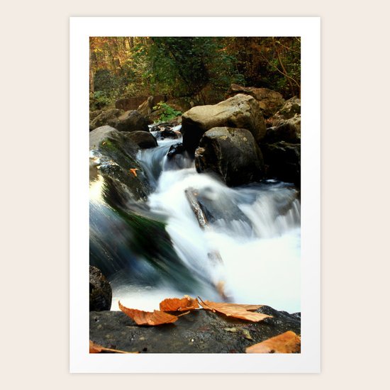Fallen Art Print