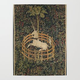 The Unicorn in Captivity Poster