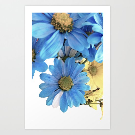 Faded Flowers Art Print