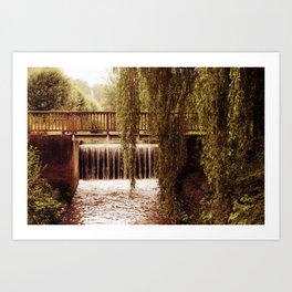 bridge trees water waterfall nature photography Art Print