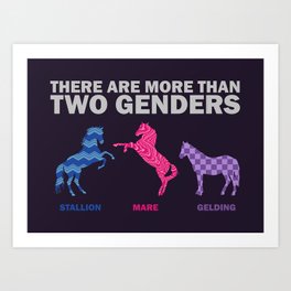 There Are More Than 2 Genders - Horse Edition Art Print