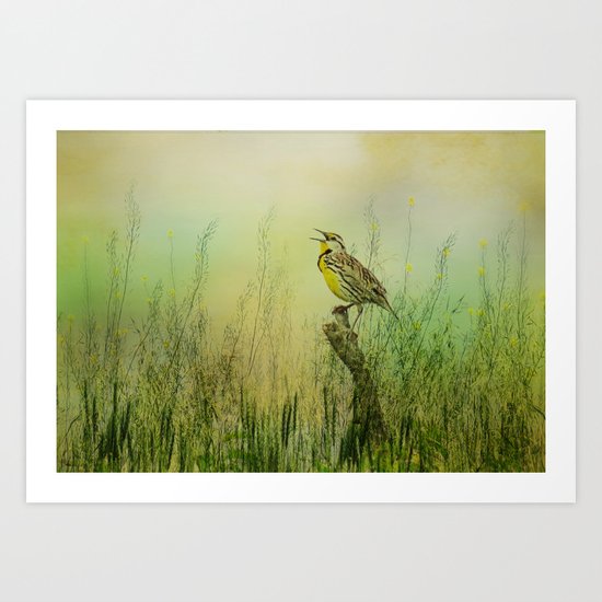The Meadow Lark Sings Art Print