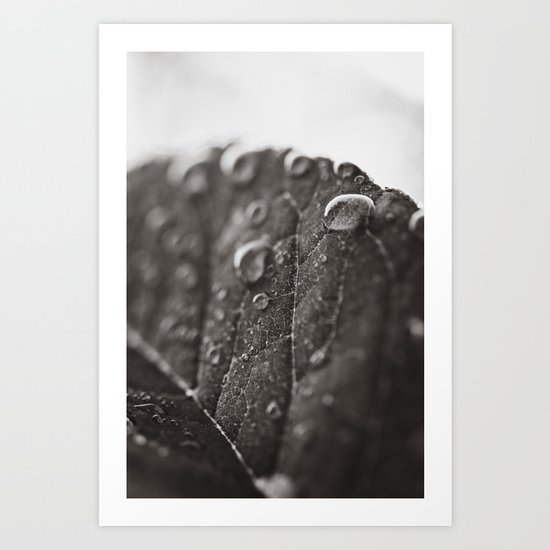 Droplets Art Print