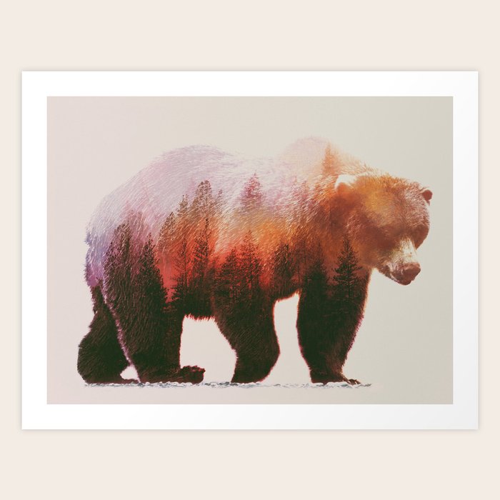Brown Bear Art Print By Andreaslie