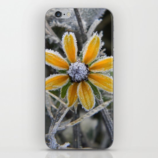 frozen smile iPhone & iPod Skin
