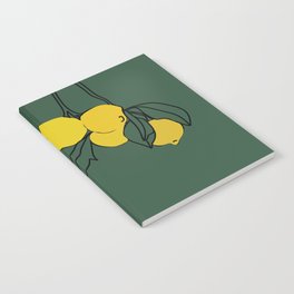 LIMES Notebook