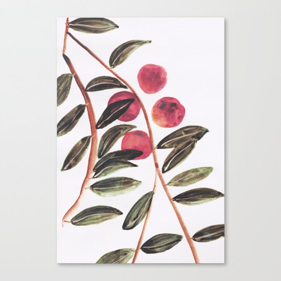 Peaches Canvas Print