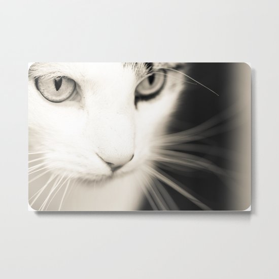 Kisa Metal Print