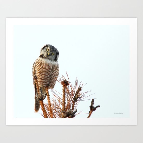Finding the balance Art Print