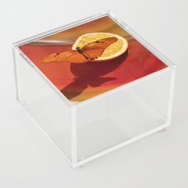 Orange Butterfly Acrylic Box