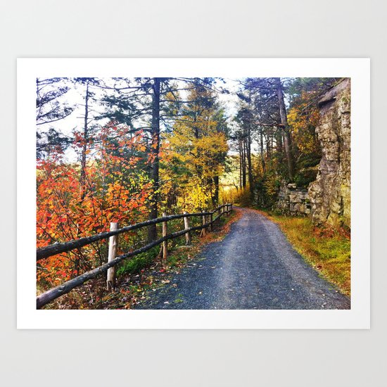 Path 2 Art Print