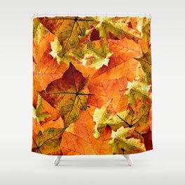 Fallen Autumn Leaves Shower Curtain