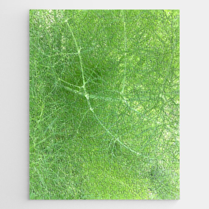 Dill Jigsaw Puzzle