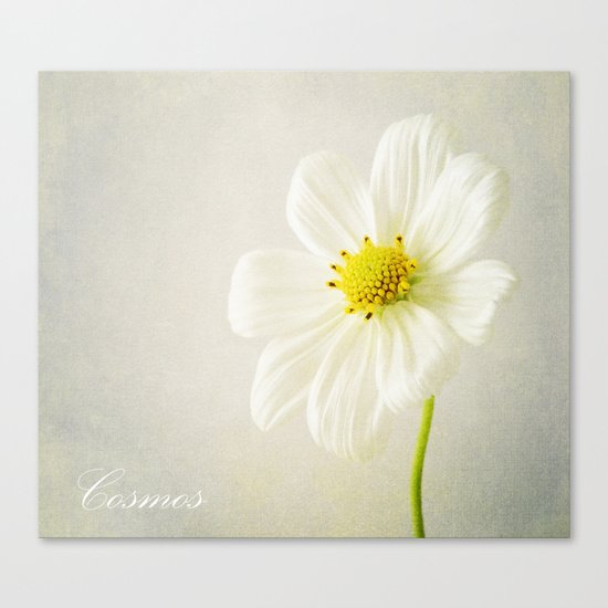 Cosmos Canvas Print