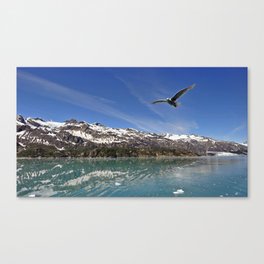 large single gull Canvas Print