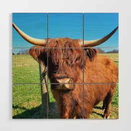 Dolly Scottish Highland Cow Wood Wall Art