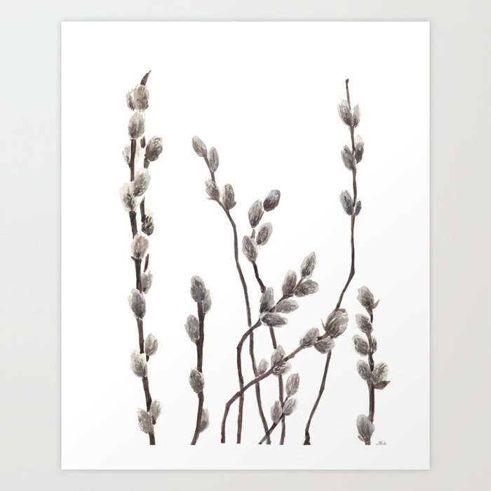 Pussywillow Branches Art Print By Lelemilojevic Society6