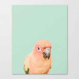 Birds of Paradise - pastel blue Canvas Print